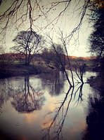 River Wear near Maiden Castle